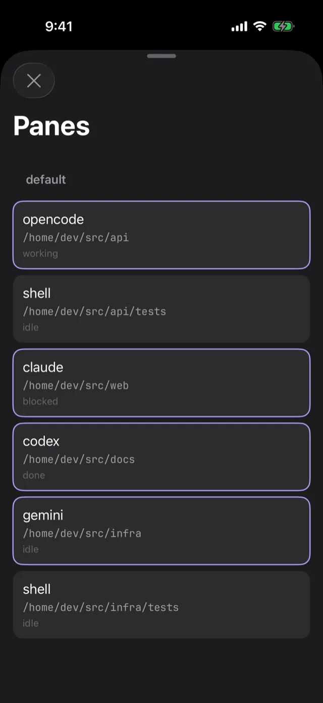 AnySSH jumping across herdr sessions and panes